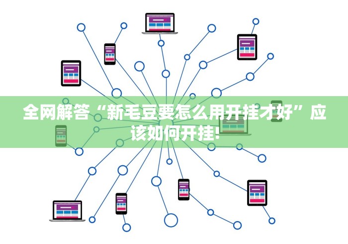 全网解答“新毛豆要怎么用开挂才好”应该如何开挂!