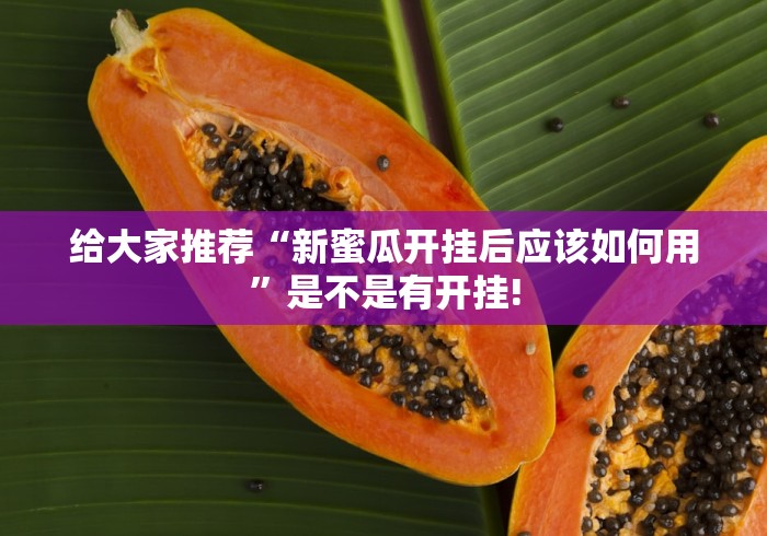 给大家推荐“新蜜瓜开挂后应该如何用”是不是有开挂! 给大家推荐“新蜜瓜开挂后应该如何用”是不是有开挂!