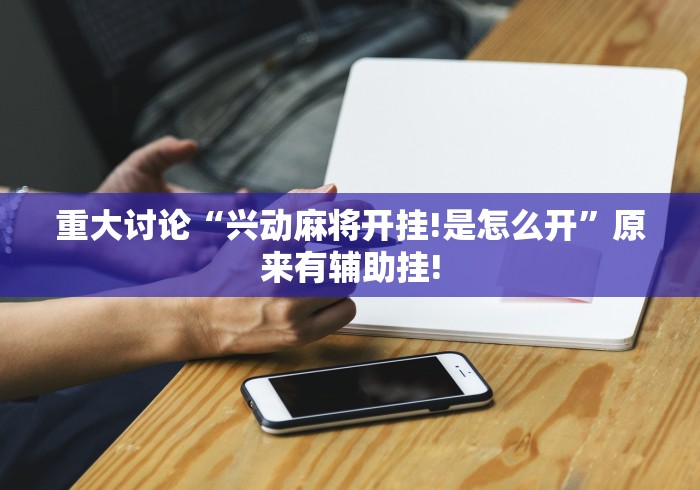 重大讨论“兴动麻将开挂!是怎么开”原来有辅助挂! 重大讨论“兴动麻将开挂!是怎么开”原来有辅助挂!