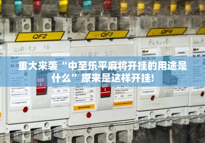 重大来袭“中至乐平麻将开挂的用途是什么”原来是这样开挂! 重大来袭“中至乐平麻将开挂的用途是什么”原来是这样开挂!