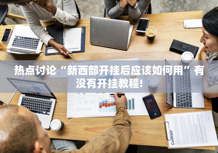 热点讨论“新西部开挂后应该如何用”有没有开挂教程!