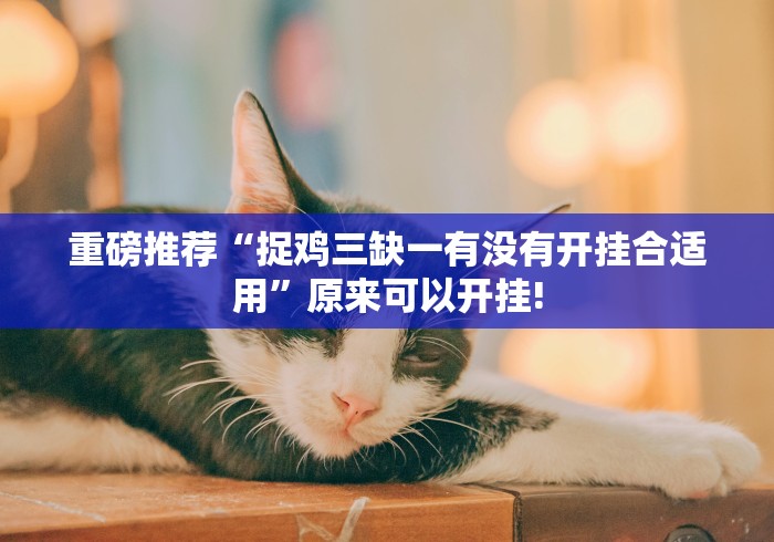 重磅推荐“捉鸡三缺一有没有开挂合适用”原来可以开挂! 重磅推荐“捉鸡三缺一有没有开挂合适用”原来可以开挂!