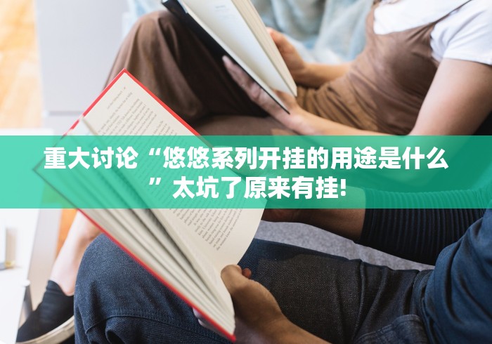 重大讨论“悠悠系列开挂的用途是什么”太坑了原来有挂!