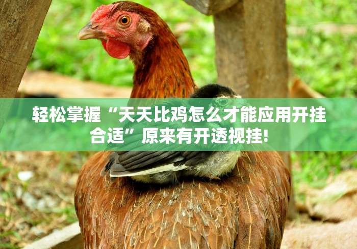 轻松掌握“天天比鸡怎么才能应用开挂合适”原来有开透视挂!