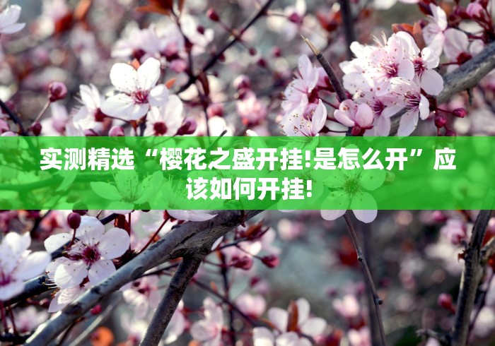 实测精选“樱花之盛开挂!是怎么开”应该如何开挂!