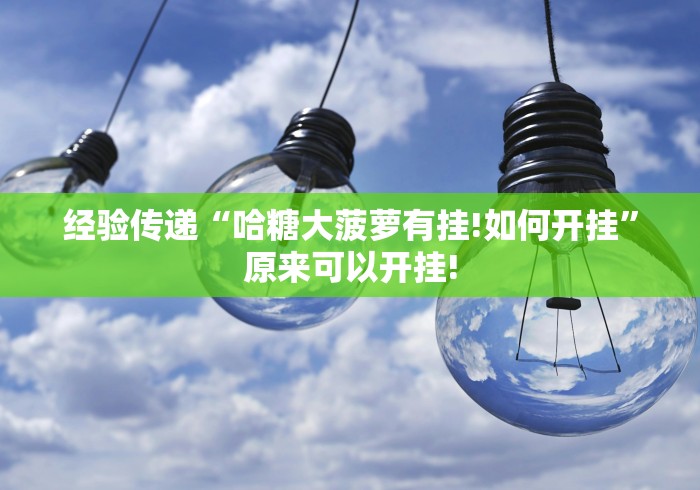 经验传递“哈糖大菠萝有挂!如何开挂”原来可以开挂!