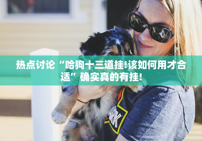 热点讨论“哈狗十三道挂!该如何用才合适”确实真的有挂! 热点讨论“哈狗十三道挂!该如何用才合适”确实真的有挂!