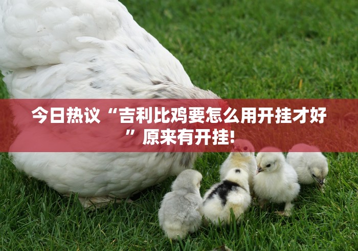 今日热议“吉利比鸡要怎么用开挂才好”原来有开挂!