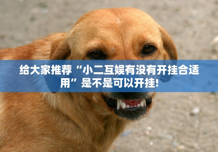 给大家推荐“小二互娱有没有开挂合适用”是不是可以开挂!